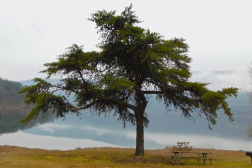 Seven Points area, Raystown Lake, Huntingdon County, Pennsylvania